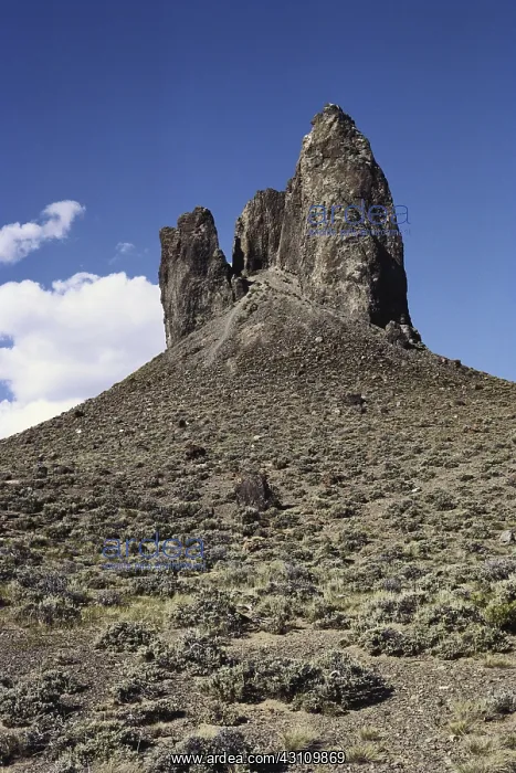 : Boar's Tusk, Wyoming : Boar's Tusk, Wyoming
