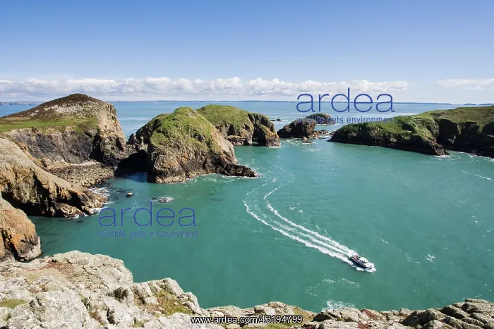: Boat in a bay of Ramsey Island, Pembrokeshire, Wales : Boat in a bay of Ramsey Island, Pembrokeshire, Wales