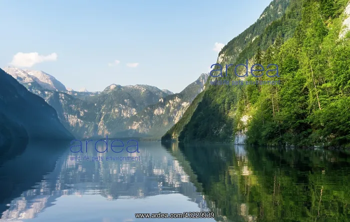 : Boat excursion on lake Koenigssee in the : Boat excursion on lake Koenigssee in the