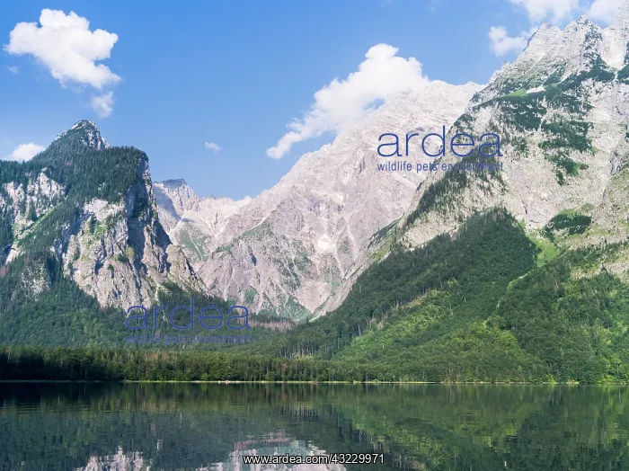 : Boat excursion on lake Koenigssee in the : Boat excursion on lake Koenigssee in the