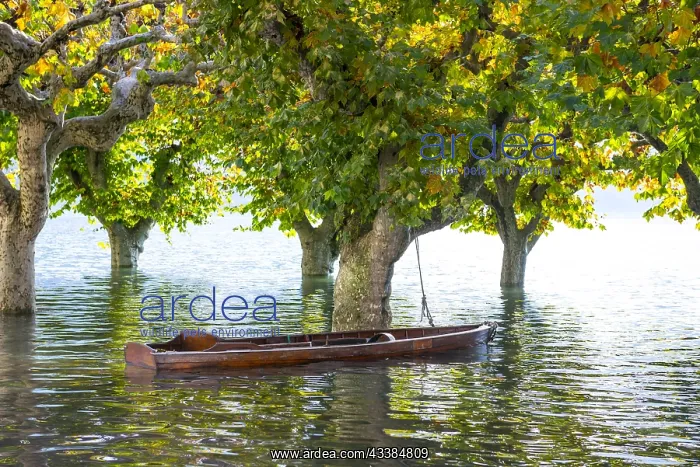 : Boat on a flooding alpine lake Lago Maggiore with : Boat on a flooding alpine lake Lago Maggiore with