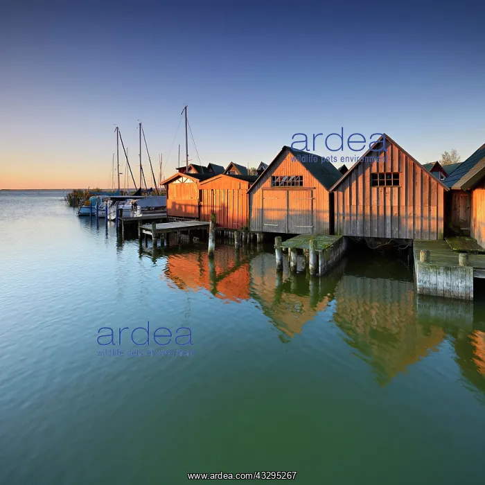 : Boat houses in the harbour at Saaler Bodden, morning : Boat houses in the harbour at Saaler Bodden, morning
