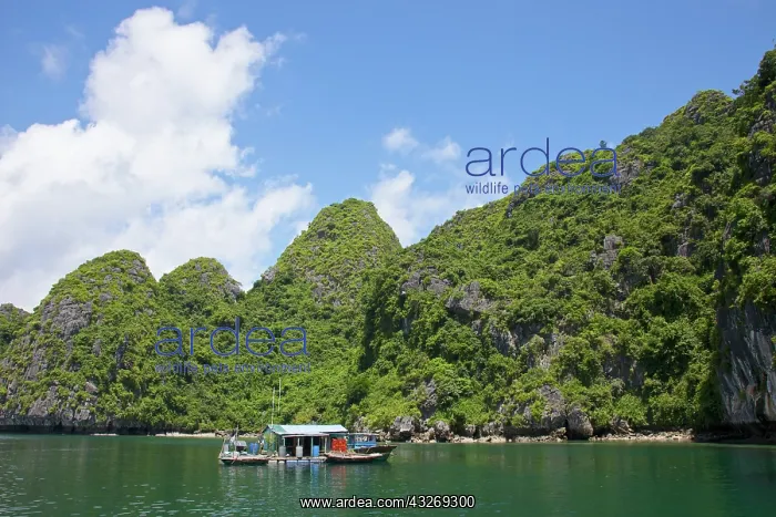 : Boat against karst formation, Cat Ba national : Boat against karst formation, Cat Ba national