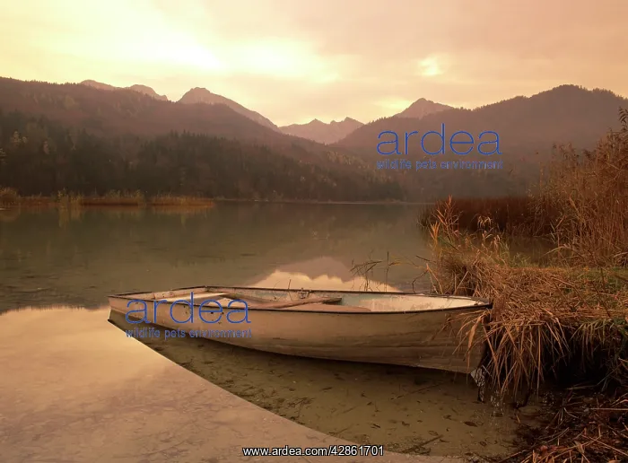 : Boat at lake - in the bavarian mountains in autumn : Boat at lake - in the bavarian mountains in autumn