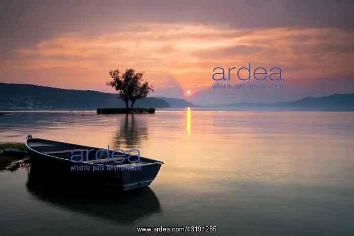 : Boat on Lake Constance near Dingelsdorf at sunset : Boat on Lake Constance near Dingelsdorf at sunset