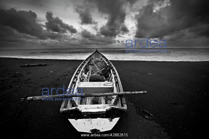 : Boat. Monterico Beach : Boat. Monterico Beach