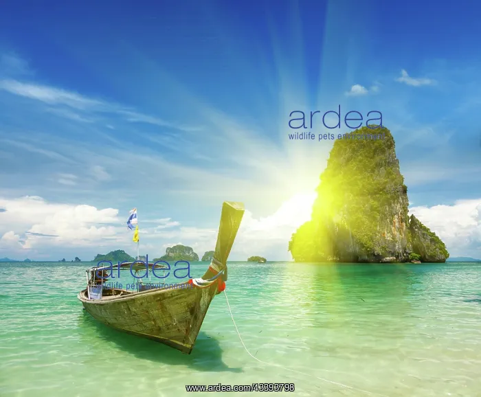 : Boat moored in shallows with sun behind : Boat moored in shallows with sun behind