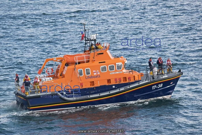 : Boat - RNLI lifeboat : Boat - RNLI lifeboat