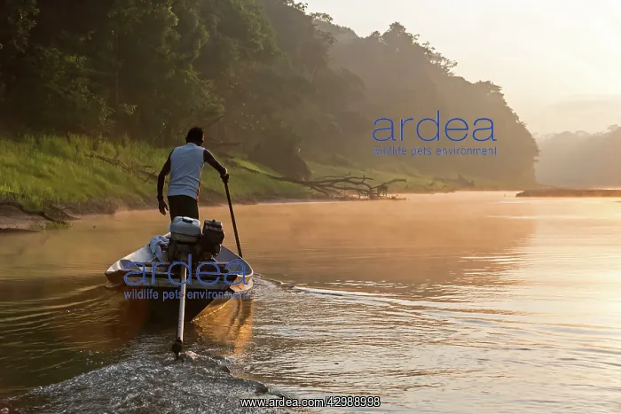 : Boat - sailing on tributary creek of the Rio : Boat - sailing on tributary creek of the Rio