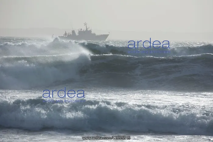  : Boat out in stormy sea, Brittany, France
