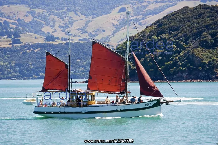 : Boat - Tourists on Fox II New Zealand's oldest : Boat - Tourists on Fox II New Zealand's oldest