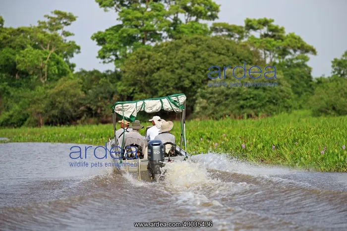 : Boat with tourists looking for jaguar River Cuiaba : Boat with tourists looking for jaguar River Cuiaba