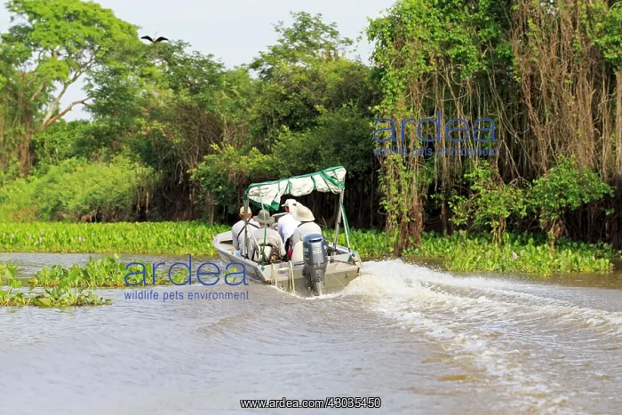 : Boat with tourists looking for jaguar River Cuiaba : Boat with tourists looking for jaguar River Cuiaba