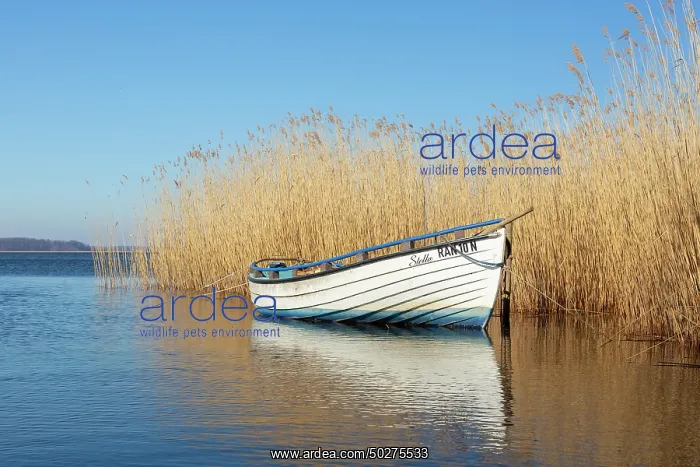 : Boat Warthe : Boat Warthe
