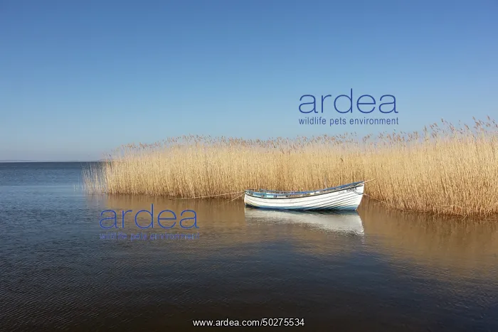  : Boat Warthe