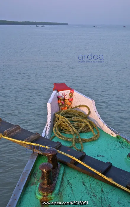 : Boat on water, Sunderbans national park : Boat on water, Sunderbans national park