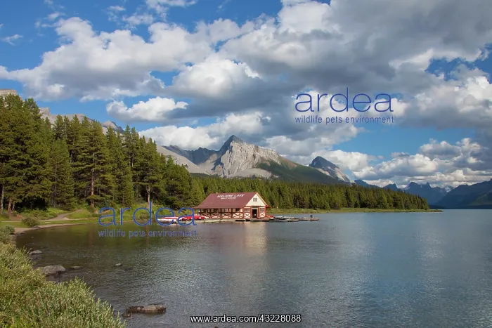  : Boathouse at Maligne Lake