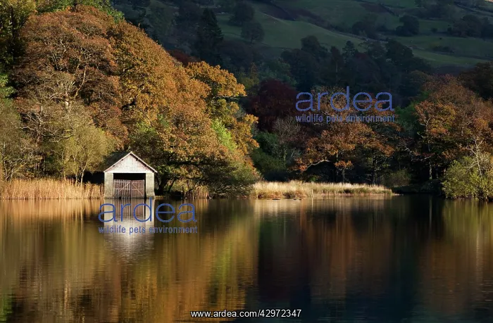 : Boathouse reflections in late evening light on : Boathouse reflections in late evening light on
