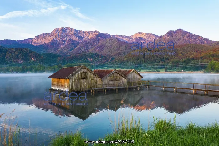 : Boathouses in the Lake Kochel near Schlehdorf in : Boathouses in the Lake Kochel near Schlehdorf in