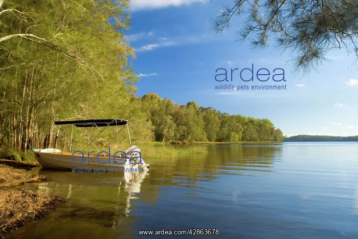 : Boating idyll - small motorboat anchors in a tranquil : Boating idyll - small motorboat anchors in a tranquil