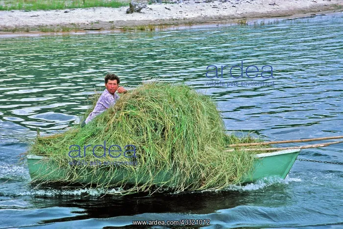 : Boatload of hay on Lake Baikal : Boatload of hay on Lake Baikal