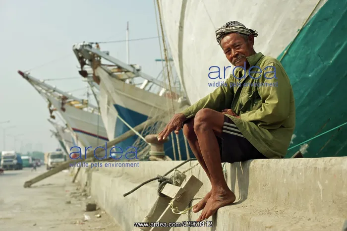 : Boatman - sitting on wall - with Phinisi boats behind him : Boatman - sitting on wall - with Phinisi boats behind him
