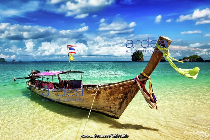 : Boats : Boats