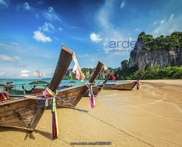 : Boats : Boats