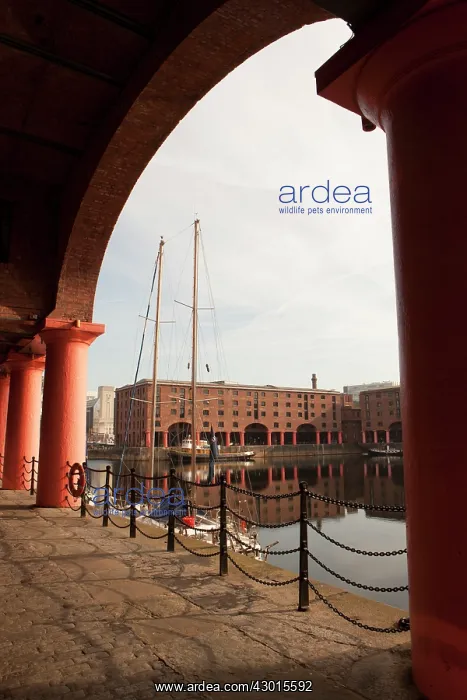  : Boats. Albert Docks, Liverpool, UK