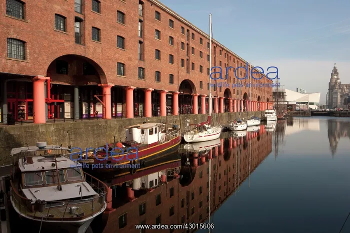  : Boats. Albert Docks, Liverpool, UK
