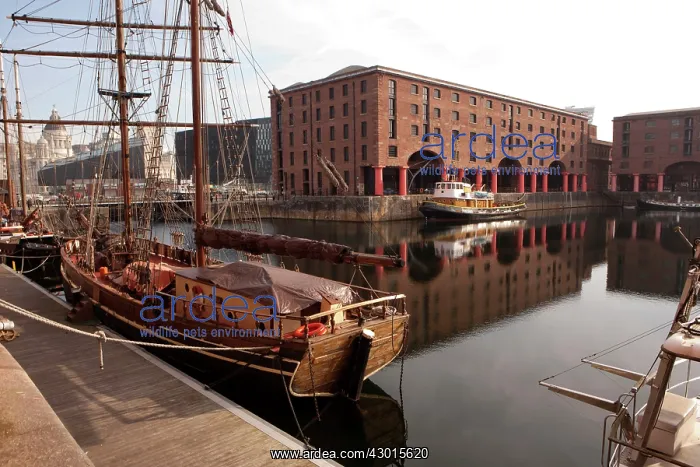  : Boats. Albert Docks, Liverpool, UK