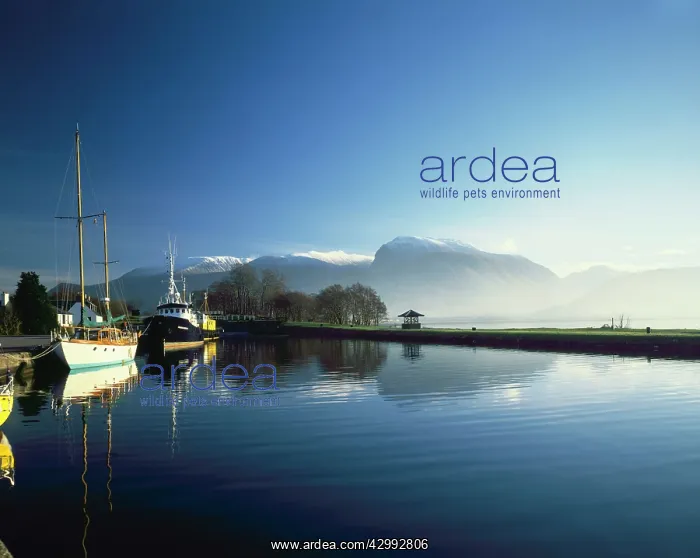 : Boats - on the Caledonian Canal : Boats - on the Caledonian Canal