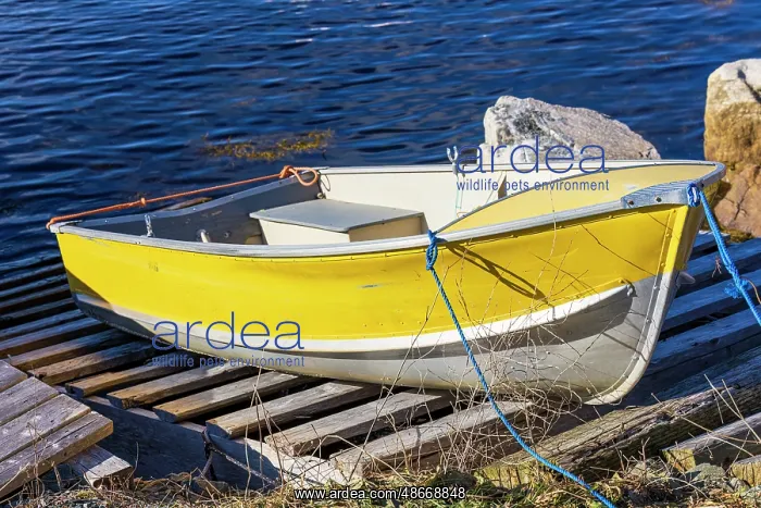 : Boats at Hackett's Cove, Nova Scotia, Canada : Boats at Hackett's Cove, Nova Scotia, Canada