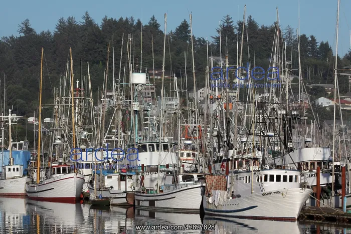  : Boats in Harbor