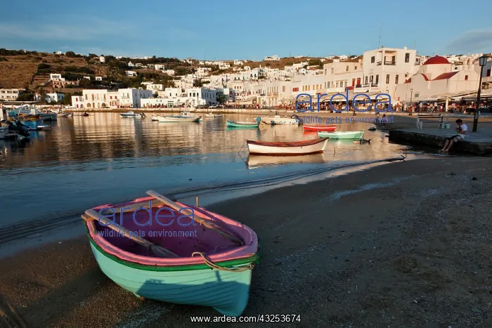  : Boats in harbor, Chora, Mykonos, Greece