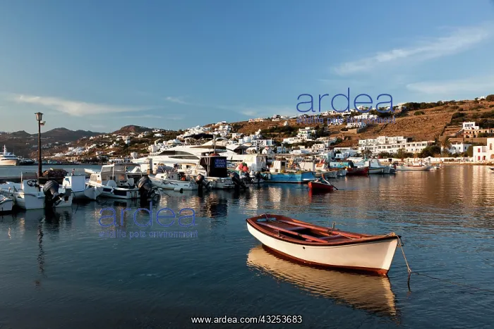 : Boats in harbor, Chora, Mykonos, Greece : Boats in harbor, Chora, Mykonos, Greece