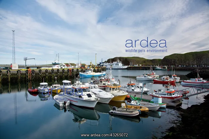: Boats in the harbor at Stykkisholmur on : Boats in the harbor at Stykkisholmur on