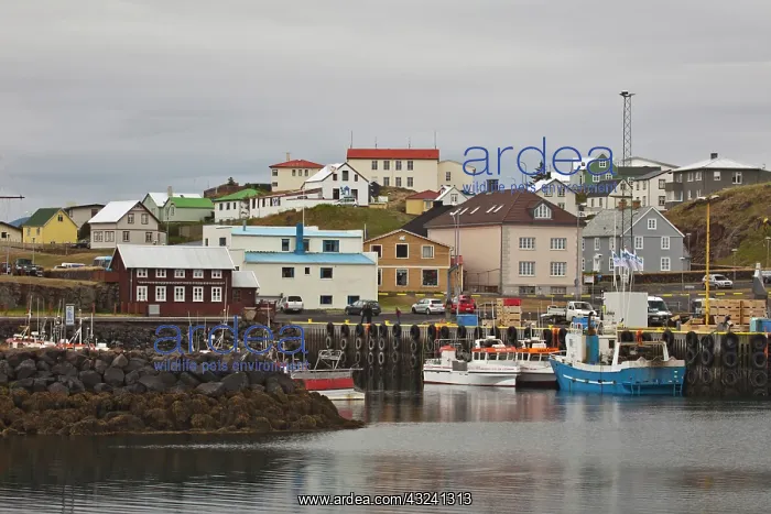 : Boats in harbor, Stykkisholmur, Iceland : Boats in harbor, Stykkisholmur, Iceland