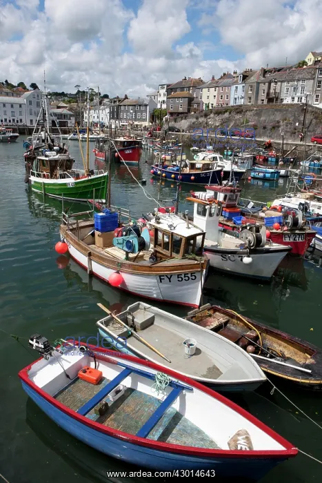  : Boats in Harbour