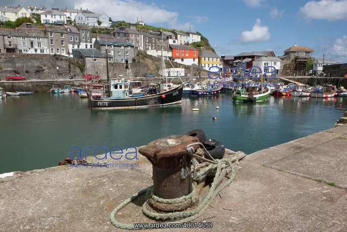 : Boats in Harbour : Boats in Harbour