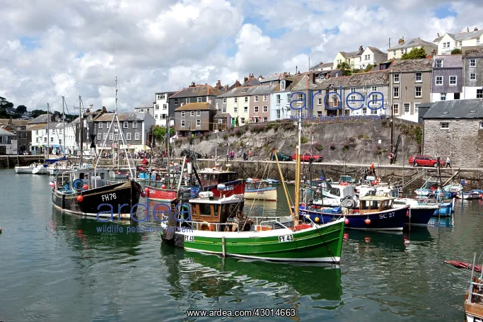  : Boats in Harbour