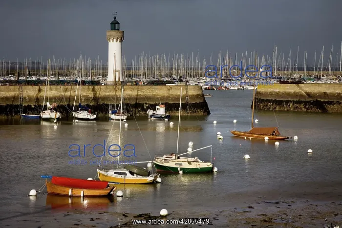 : Boats in harbour with lighthouse : Boats in harbour with lighthouse