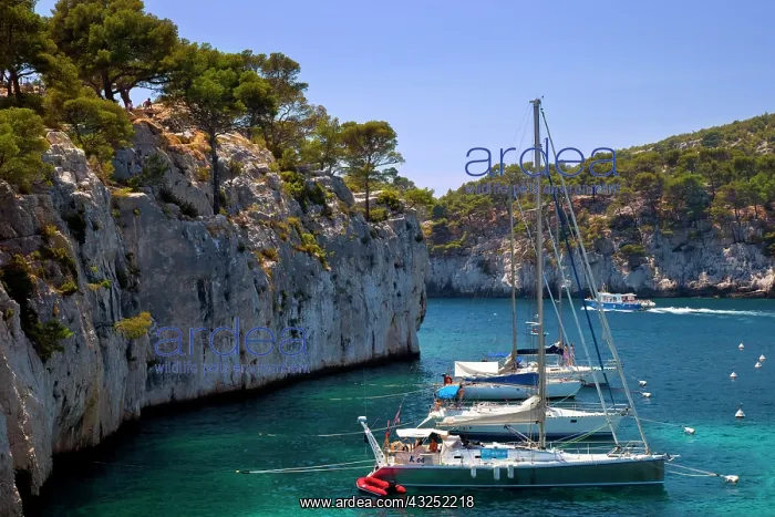 : Boats moored in the Calanques near Cassis : Boats moored in the Calanques near Cassis