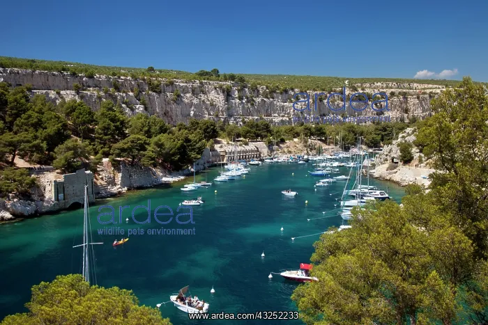 : Boats moored in the Calanques near Cassis : Boats moored in the Calanques near Cassis