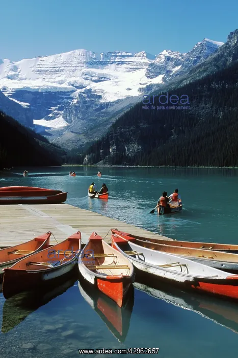 : Boats moored at Lake Louise : Boats moored at Lake Louise
