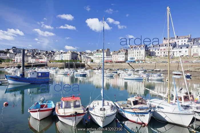 : Boats in the port of Douarnenez, D&, x9c21;rtement : Boats in the port of Douarnenez, D&, x9c21;rtement