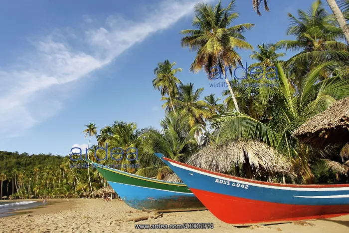 : Boats - on sandy beach : Boats - on sandy beach