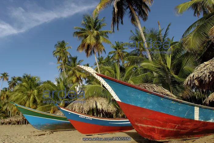 : Boats - on sandy beach : Boats - on sandy beach