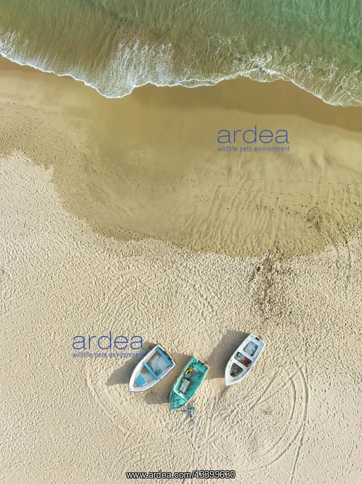 : Boats at the shore of the Atlantic Ocean near Bolonia : Boats at the shore of the Atlantic Ocean near Bolonia