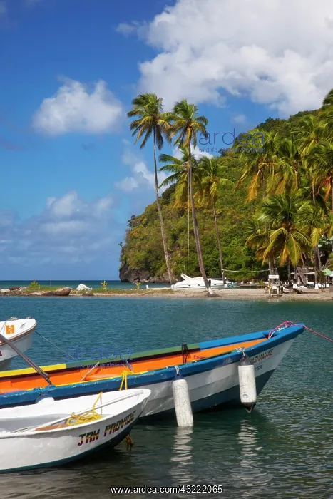 : Boats in the tiny harbor at Marigot Bay : Boats in the tiny harbor at Marigot Bay